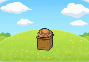 Skull Fossil Display habitat in Pokopia